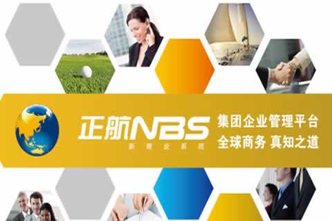 集團企業(yè)應(yīng)用-NBS